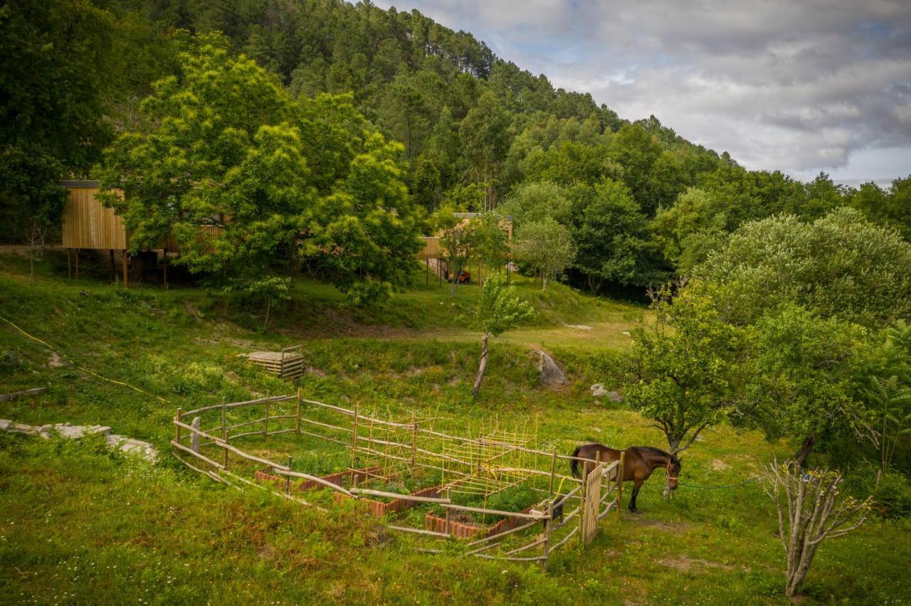 Aloia Nature, Alojamiento Forestal Appartement Tui Buitenkant foto